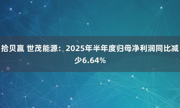 拾贝赢 世茂能源：2025年半年度归母净利润同比减少6.64%