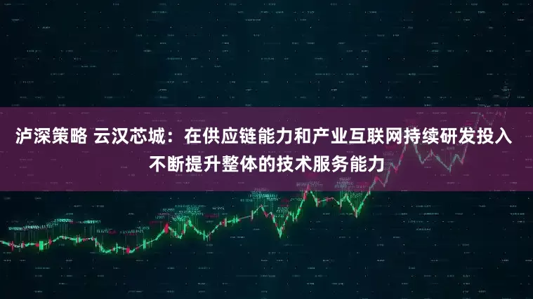 泸深策略 云汉芯城：在供应链能力和产业互联网持续研发投入 不断提升整体的技术服务能力