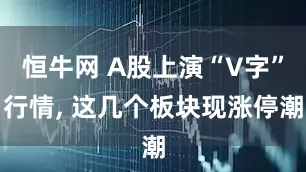 恒牛网 A股上演“V字”行情, 这几个板块现涨停潮