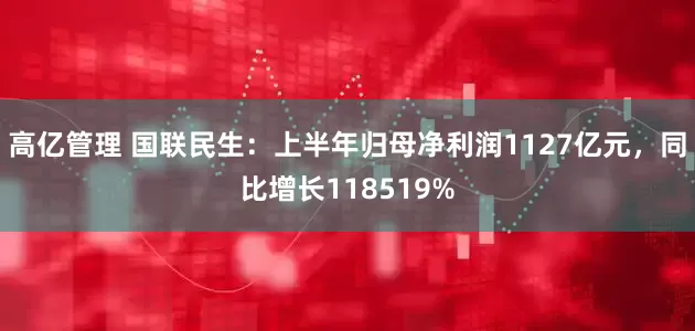高亿管理 国联民生：上半年归母净利润1127亿元，同比增长118519%